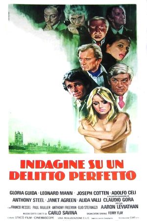 Indagine su un delitto perfetto's poster