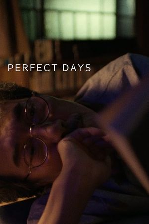 Perfect Days's poster