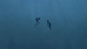 The Red Turtle's poster