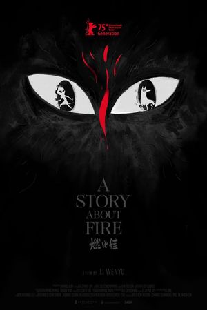 A Story About Fire's poster