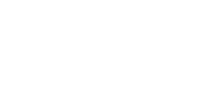 Vanangaan's poster