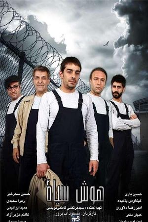 Black Intelligence's poster