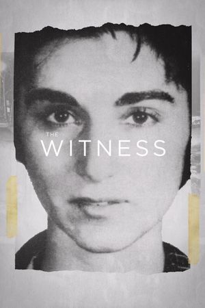 The Witness's poster