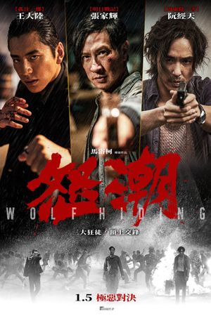 Wolf Hiding's poster