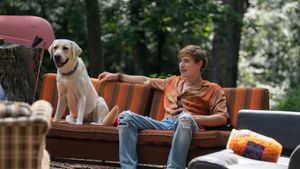 Dog Gone's poster