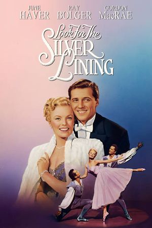 Look for the Silver Lining's poster