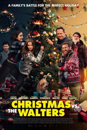 Christmas vs. The Walters's poster