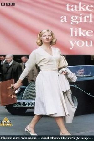 Take a Girl Like You's poster
