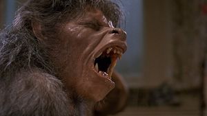 An American Werewolf in London's poster