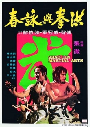 Shaolin Martial Arts's poster