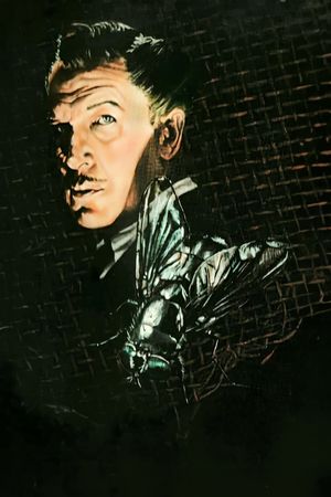 The Fly's poster