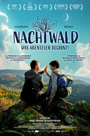 Nachtwald's poster