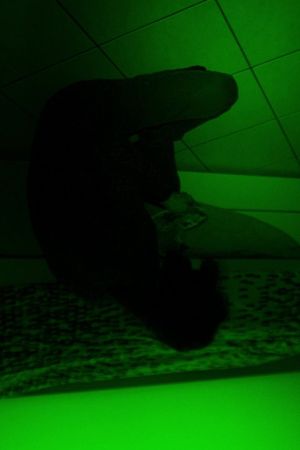 RGB's poster