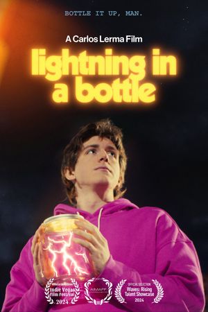 Lightning in a Bottle's poster