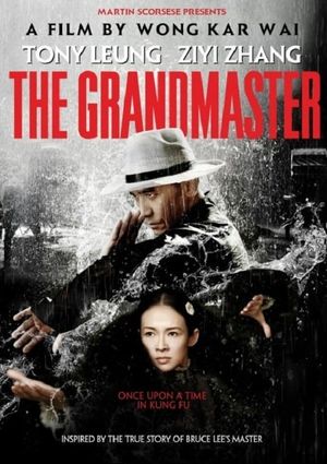 The Grandmaster's poster