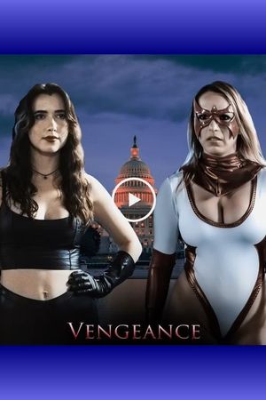 Vengeance's poster