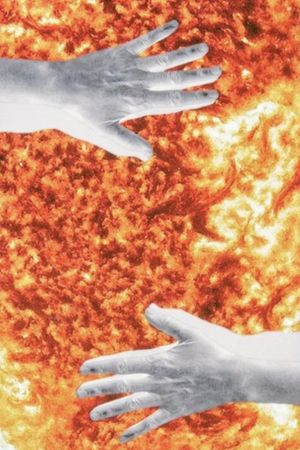 Hand Reflection's poster