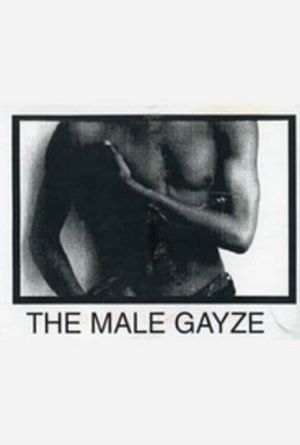 The Male GaYze's poster