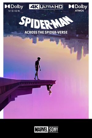 Spider-Man: Across the Spider-Verse's poster