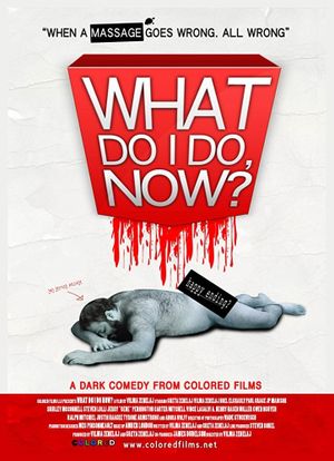 What Do I Do Now?'s poster image