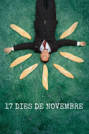 17 dies de novembre's poster