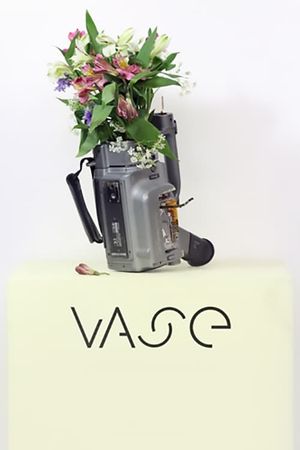 Vase's poster