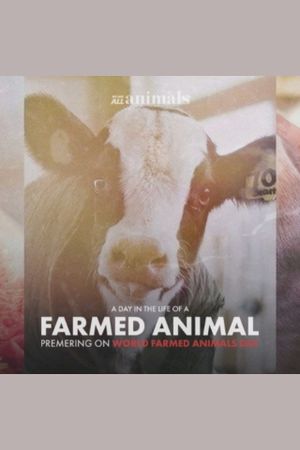 A Day in the Life of a Farmed Animal's poster