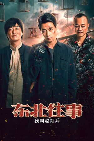 东北往事之我叫赵红兵's poster