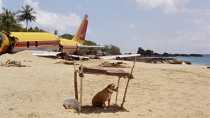 The Last Island's poster