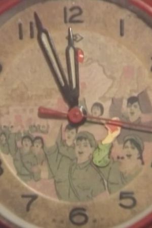 1966, My Time in the Red Guards's poster