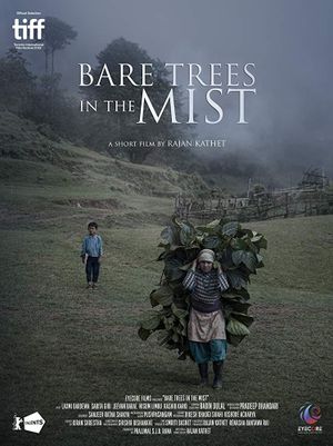 Bare Trees in the Mist's poster