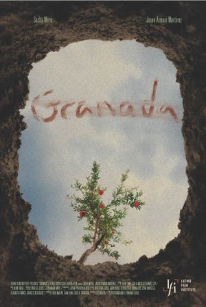 Granada's poster