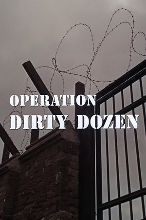Operation Dirty Dozen's poster image