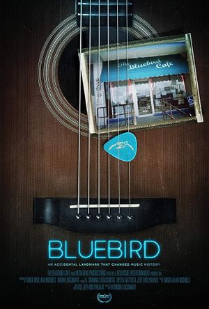 Bluebird's poster