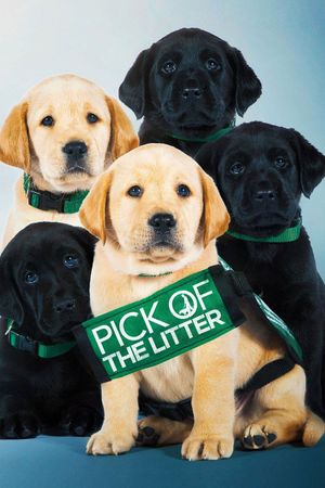 Pick of the Litter's poster