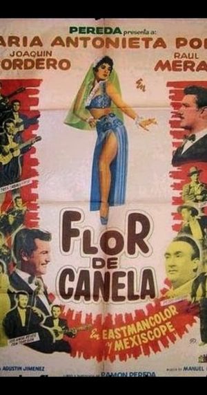Flor de canela's poster image