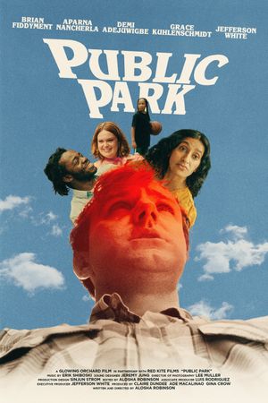 Public Park's poster