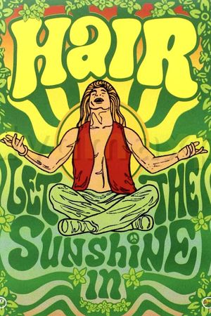 Hair's poster