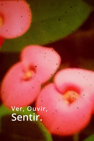 Ver, Ouvir, Sentir.'s poster