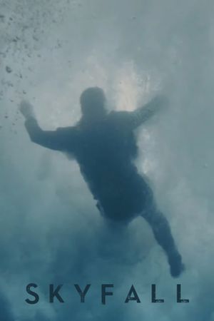 Skyfall's poster