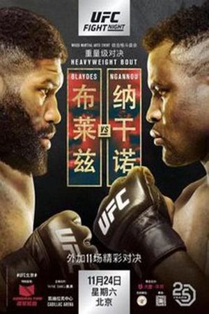 UFC Fight Night 141: Blaydes vs. Ngannou 2's poster