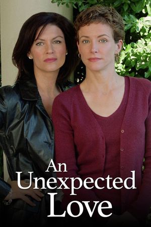 An Unexpected Love's poster