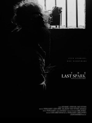 The Last Spark's poster image