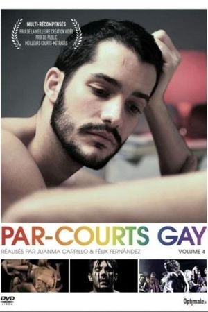 Par-courts Gay, Volume 4's poster image