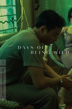 Days of Being Wild's poster