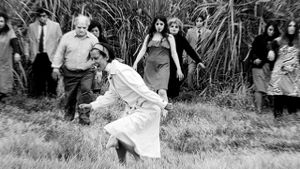 Zombies in the Sugar Cane Field: The Documentary's poster