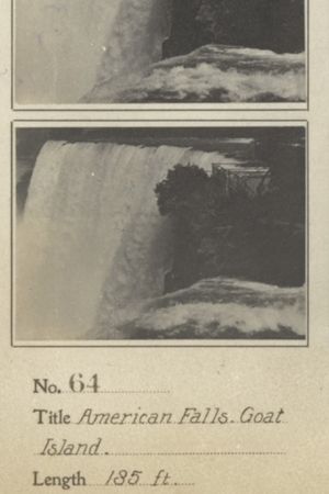 American Falls from Goat Island's poster