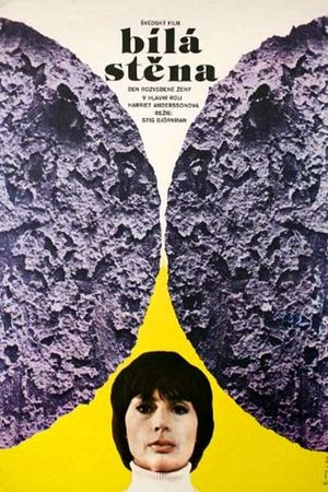 The White Wall's poster