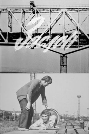 Barrier's poster
