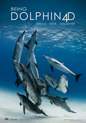 Being Dolphin 4D's poster image